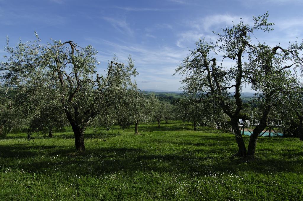 Agriturismo Poggio Bonelli คาสเตลนูโอโว เบราร์เดนกา ภายนอก รูปภาพ
