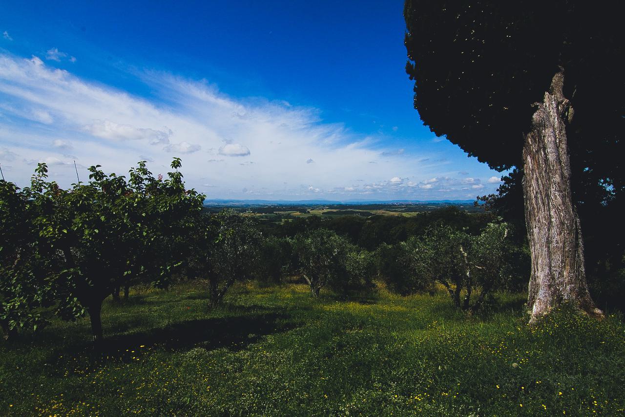 Agriturismo Poggio Bonelli คาสเตลนูโอโว เบราร์เดนกา ภายนอก รูปภาพ